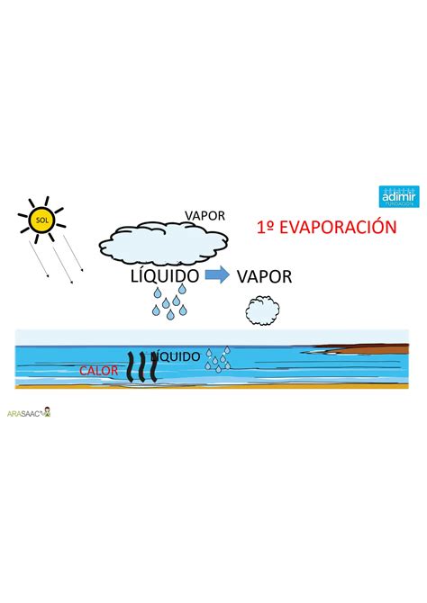 Imagenes Del Ciclo Del Agua 4