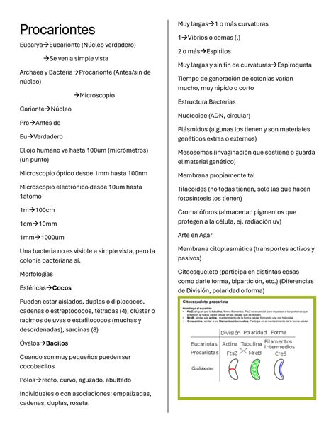 Solution Microbiolog A Bacterias Studypool