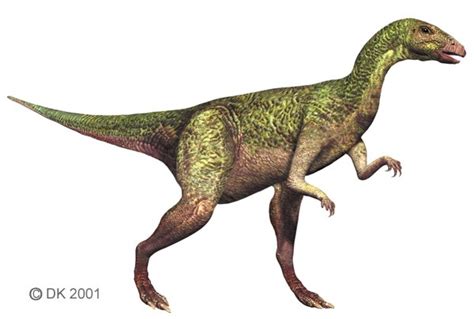 Dryosaurus Pictures & Facts - The Dinosaur Database