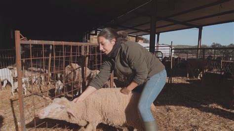 Chabeli y su madre enchiqueran a las paridas y a los mellizos recién