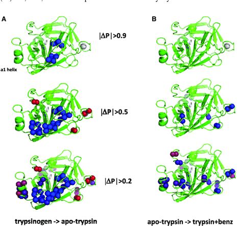 Propensity Differences Dp Mapped To The Structure Of Trypsin Pdb