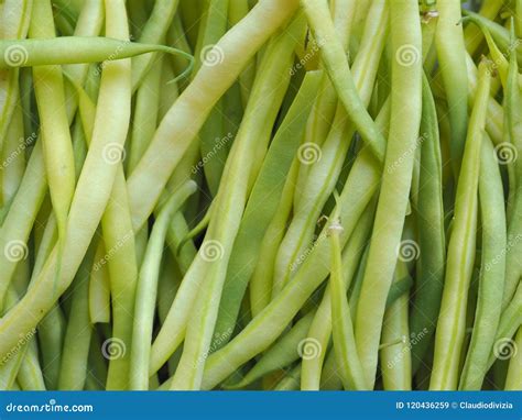 Green String Snap Beans Legumes Vegetables Food Stock Image Image Of