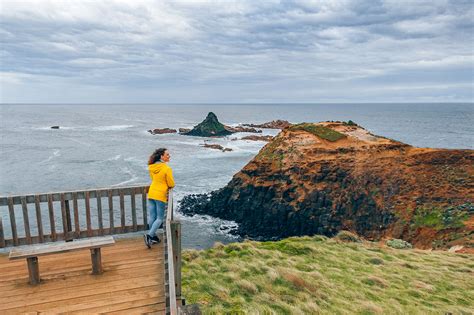 23 Best Things To Do In Phillip Island Australia By A Local The