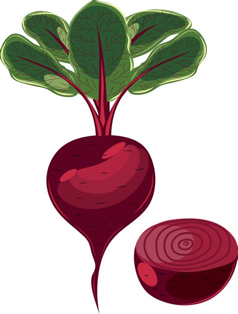 Vector Image Of A Beetroot Beetroot With Leaves Vegetable 22744294