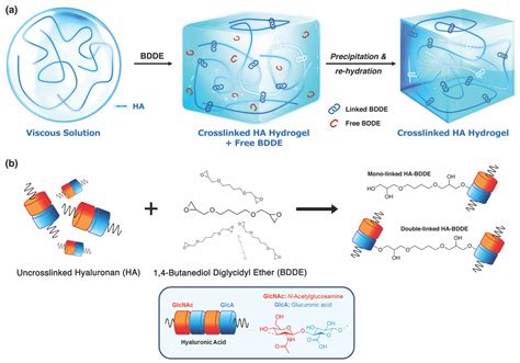 Molecules | Free Full-Text | Bridging a Century-Old Problem: The