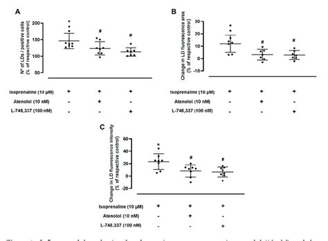 Influence Of The Selective Adrenergic Receptor Antagonist Atenolol