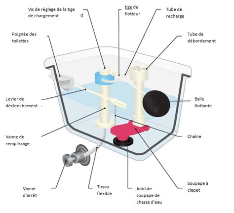 Types Et Options Pour Vos Toilettes Et Erreurs Viter