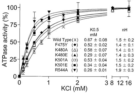 K Concentration Dependence Of Na K ATPase Activity The ATPase