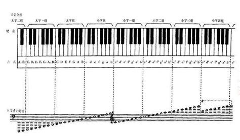 鋼琴上一共有多少琴鍵，琴鍵的來源你知道嗎？ 每日頭條