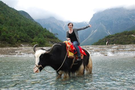 Riding A Yak Down The River This Is Where I Am In The Worl Flickr