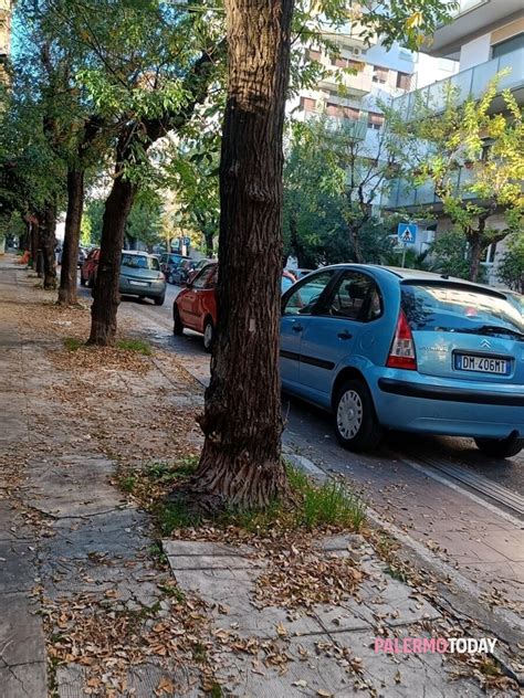 Via Giusti Dove La Pista Poco Ciclabile Segnalazione A Palermo