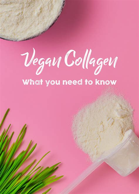 Vegan Collagen What It Is And How To Use It Bianca Zapatka Recipes