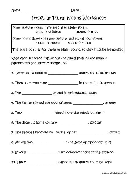 Irregular Plural Nouns Second Grade