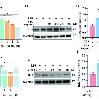 Aps Decreased Lps Induced Wtap Gene In Thp Macrophages Thp