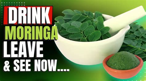 Benefit Of Moringa Leave And How Powerful Its To Health Youtube