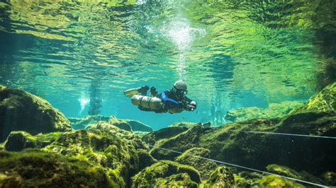 Best Cenotes For Scuba Diving In Mexico Divers UnderGround