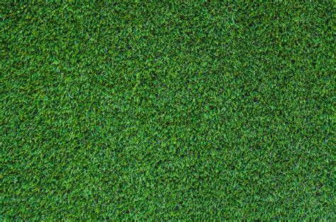 680 Carpet That Looks Like Grass Stock Photos Pictures And Royalty Free