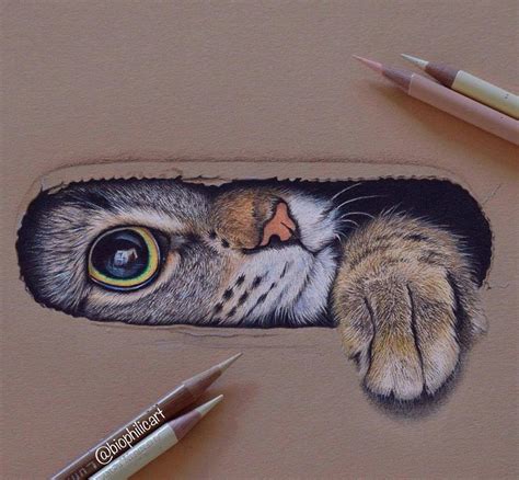 Pin by E. on Drawing | Cat art, Realistic drawings, Drawings