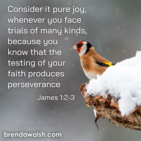 Faith And Perseverance Brenda Walsh Scripture Images