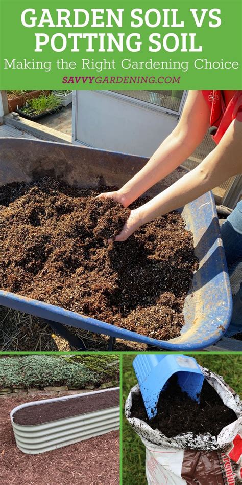 Garden Soil Vs Potting Soil Learn The Differences Garden Soil