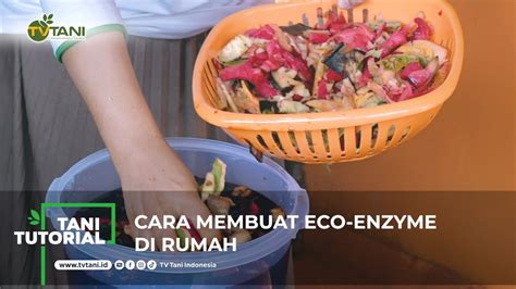 Cara Membuat Eco Enzyme Di Rumah Youtube