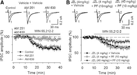 Effects Of Repeated In Vivo Administration Of Jzl184 Alone Or In Download Scientific Diagram