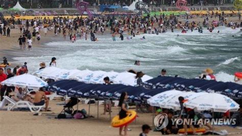 장마 끝 휴가 시작더위 날릴 시원한 여름 축제로 풍덩 네이트 뉴스