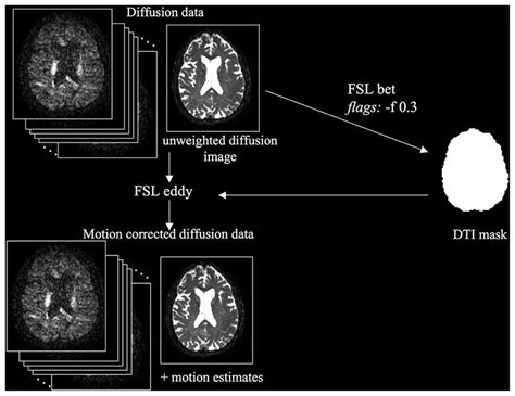 Frontiers Evaluation Of Field Map And Nonlinear Registration Methods