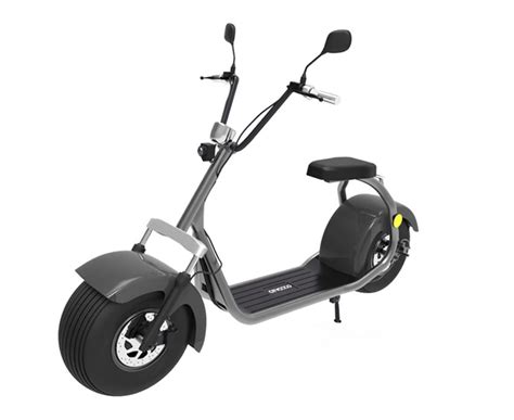 Ecorider Eec Certificate Citycoco Lt Two Wheel Electric Scooter