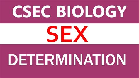 Sex Determination In Humans Class 10 Csec Cxc Youtube