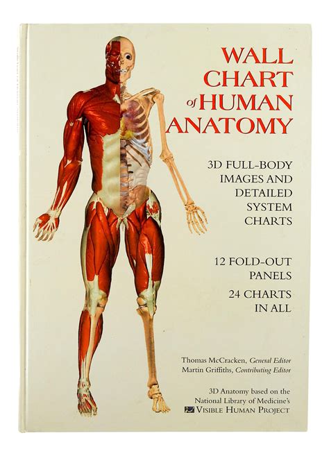 Wallchart of Human Anatomy Book | Chairish