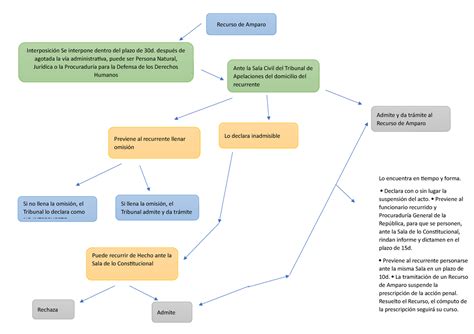 Análisis Del Recurso De Amparo Y Diagrama Lo Encuentra En Tiempo Y