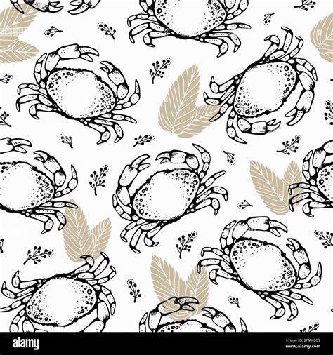 Crab Vector Seamless Pattern Hand Drawn Seafood Background Stock