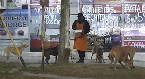 Un Carnicero De Necochea Alimenta Perros Callejeros Y Su Gesto Se Hace Viral Diario Necochea