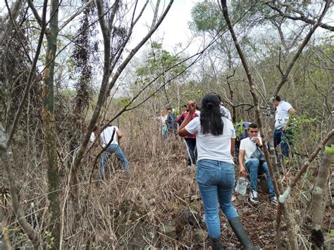 Heifer Honduras on Twitter Actividad de reforestación en zona