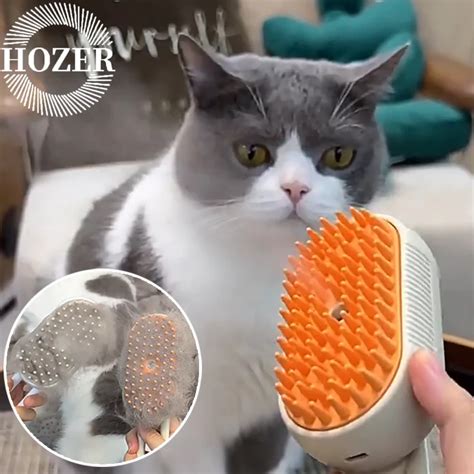 Steamy Cat Brush In Electric Anti Splashing Cat Brush With Steam