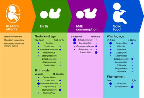 Influence Of Temporal Succession Events And Environmental Factors On