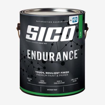 SICO ENDURANCE Interior 100 Acrylic Latex