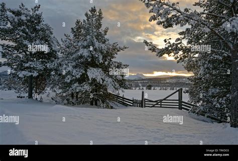 Norway. Winter in Rondane and Folldal Stock Photo - Alamy