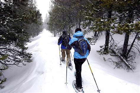 8 Fabulous Places For Snowshoeing Fun In Colorado