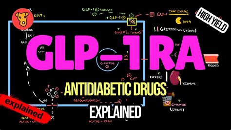 Glp Receptor Agonists Mechanism Of Action Side Effects Youtube