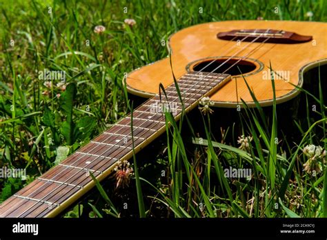 Acoustic Baritone Ukulele Guitar Laying In A Grass Field Stock Photo