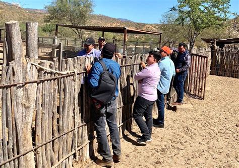 Ayuntamiento De Los Cabos Proporciona Atenci N Permanente A Las