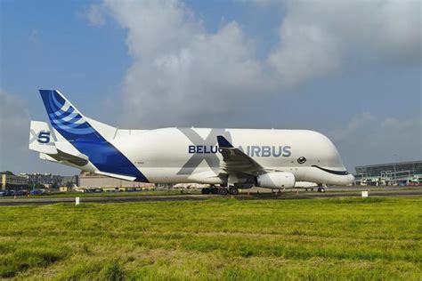 Airbus Beluga Airbus Beluga Aircraft Lands In Kolkata Airport Beluga