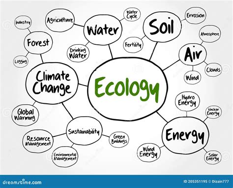 Ecology Mind Map Flowchart Concept Stock Illustration - Illustration of ...