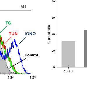 SSC Versus FSC Dot Plot The Integrity Of The Cell Population Is