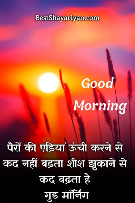 Collection Of Amazing Full K Good Morning Images With Quotes In Hindi