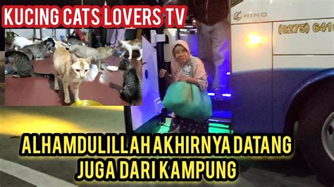 Alhamdulillah Akhirnya Ibuku Berkunjung Ke Bacecamp Cats Lovers Tv