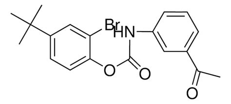 2 Bromo 4 Tert Butylphenyl N 3 Acetylphenylcarbamate Aldrichcpr