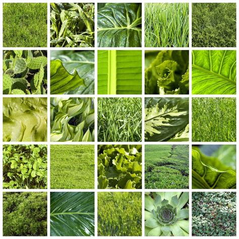 Green Collage Stock Image Image Of Abstract Environment 19961411